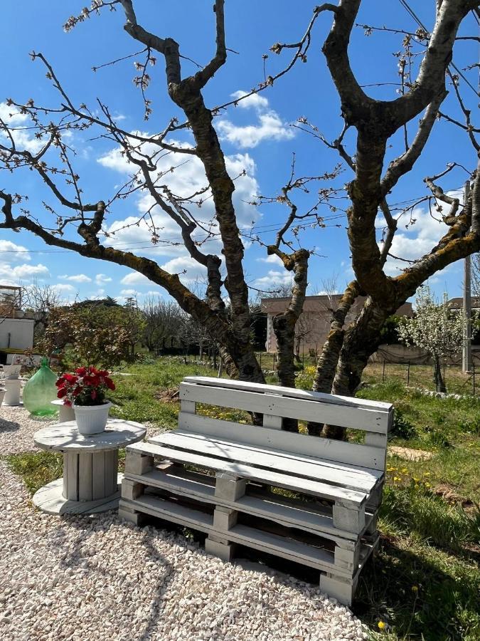 Il Trullo Di Mattia Βίλα Νότσι Εξωτερικό φωτογραφία